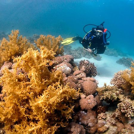 Hotel Dive Urge Dahab Exterior foto