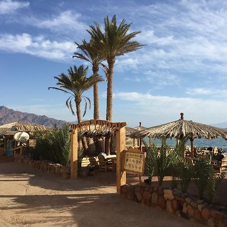 Hotel Dive Urge Dahab Exterior foto