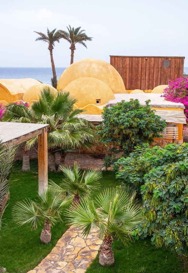 Hotel Dive Urge Dahab Exterior foto