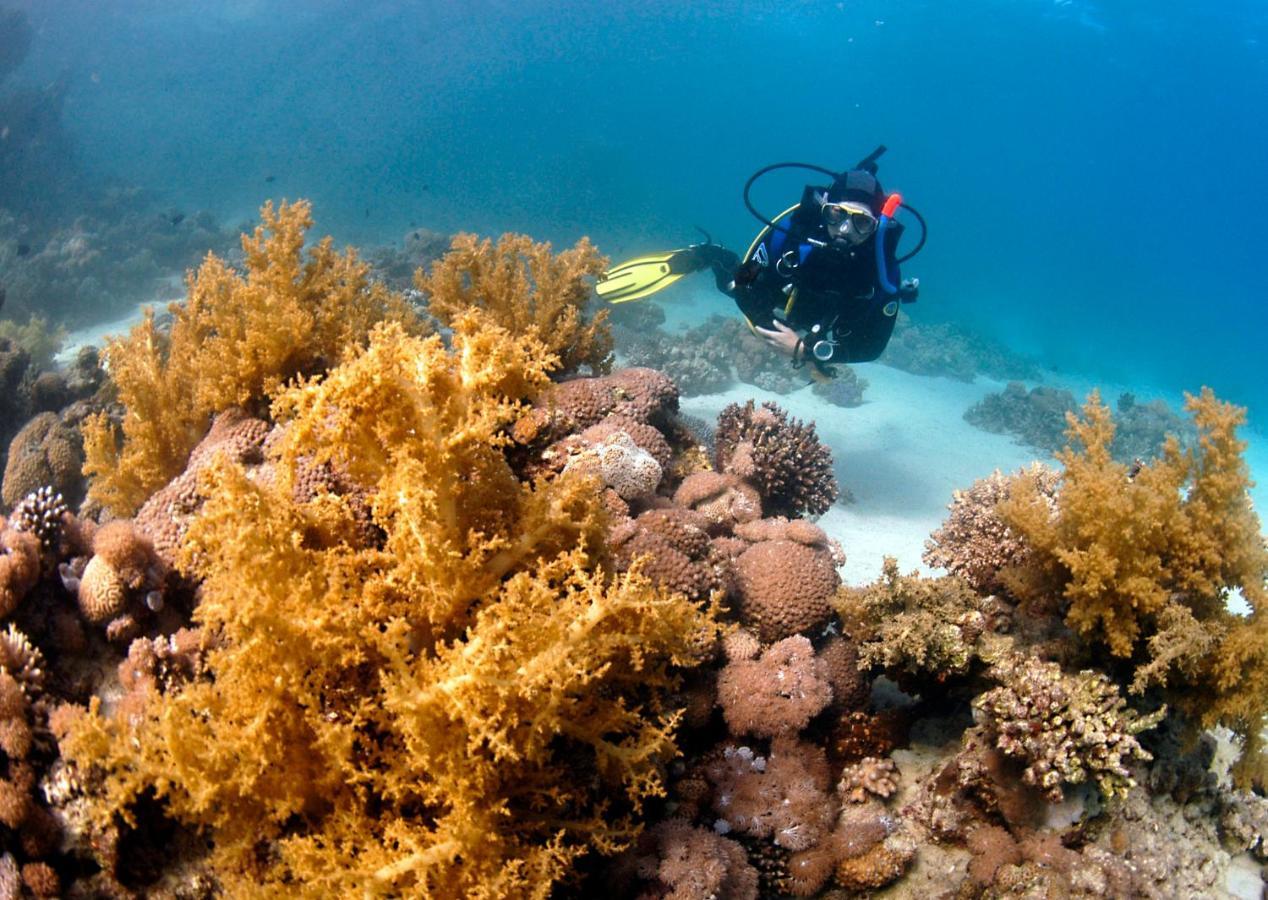 Hotel Dive Urge Dahab Exterior foto