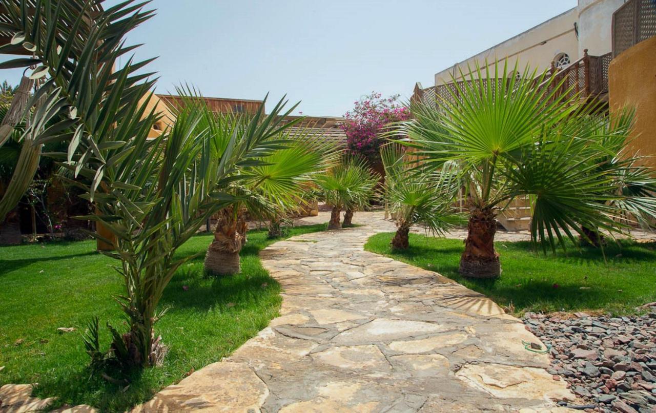 Hotel Dive Urge Dahab Exterior foto