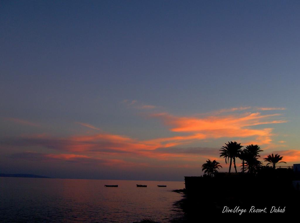 Hotel Dive Urge Dahab Exterior foto