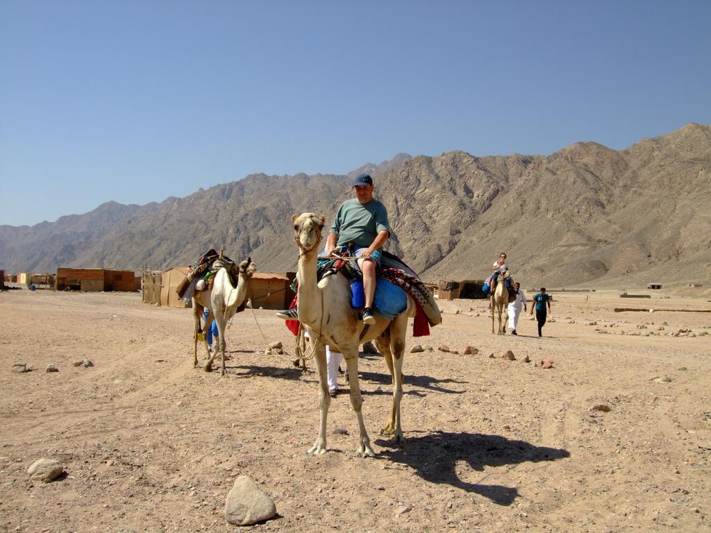 Hotel Dive Urge Dahab Exterior foto