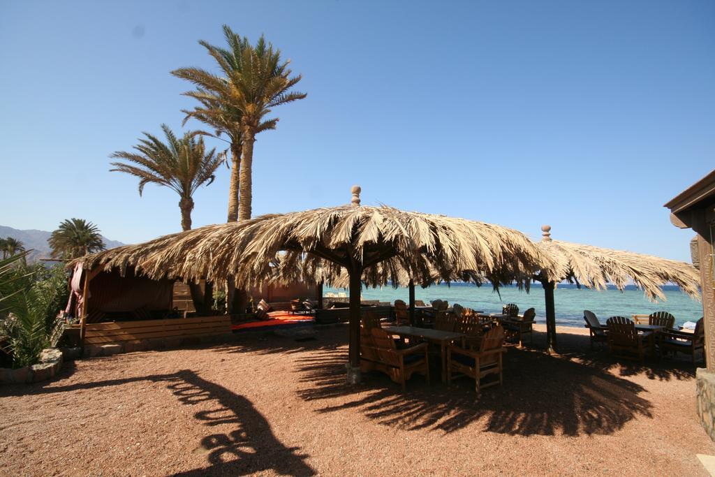 Hotel Dive Urge Dahab Exterior foto
