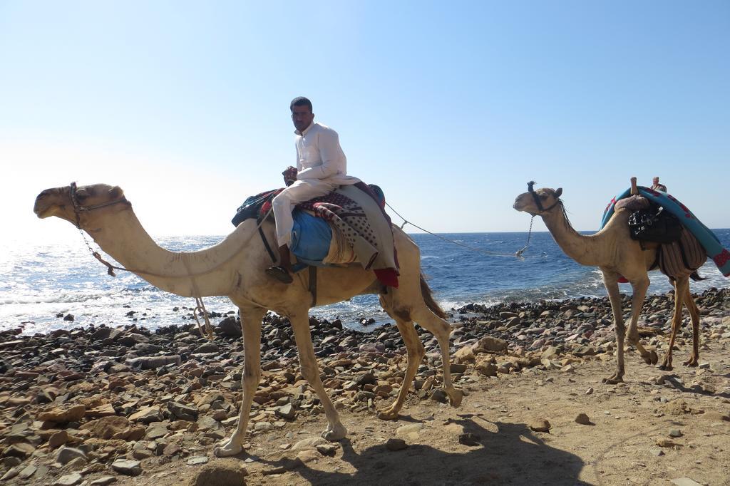 Hotel Dive Urge Dahab Exterior foto