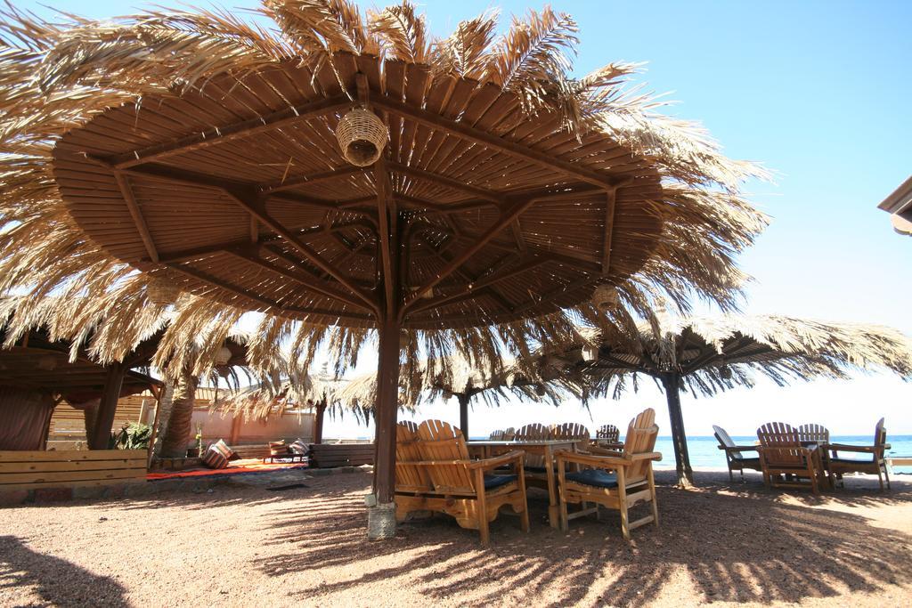 Hotel Dive Urge Dahab Exterior foto