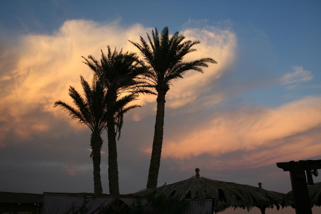 Hotel Dive Urge Dahab Exterior foto