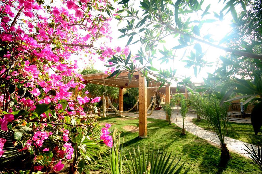 Hotel Dive Urge Dahab Exterior foto