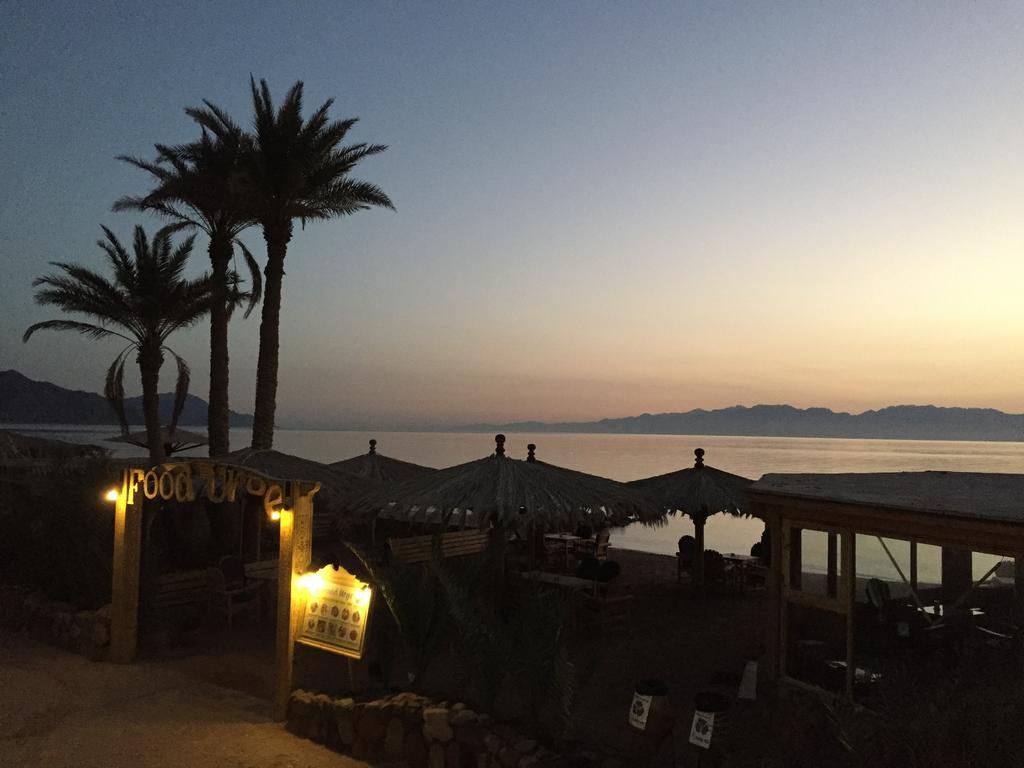 Hotel Dive Urge Dahab Exterior foto