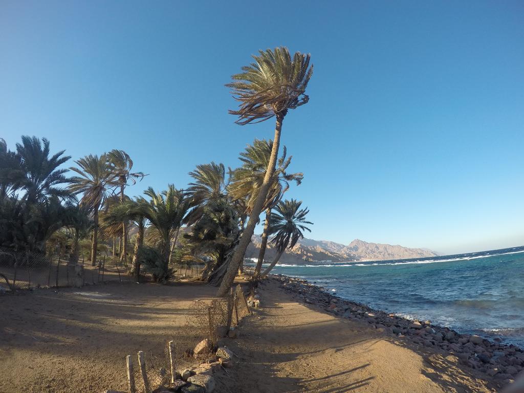 Hotel Dive Urge Dahab Exterior foto