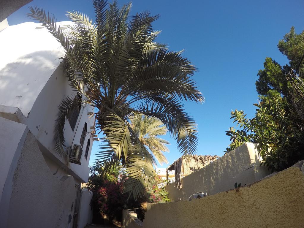 Hotel Dive Urge Dahab Exterior foto