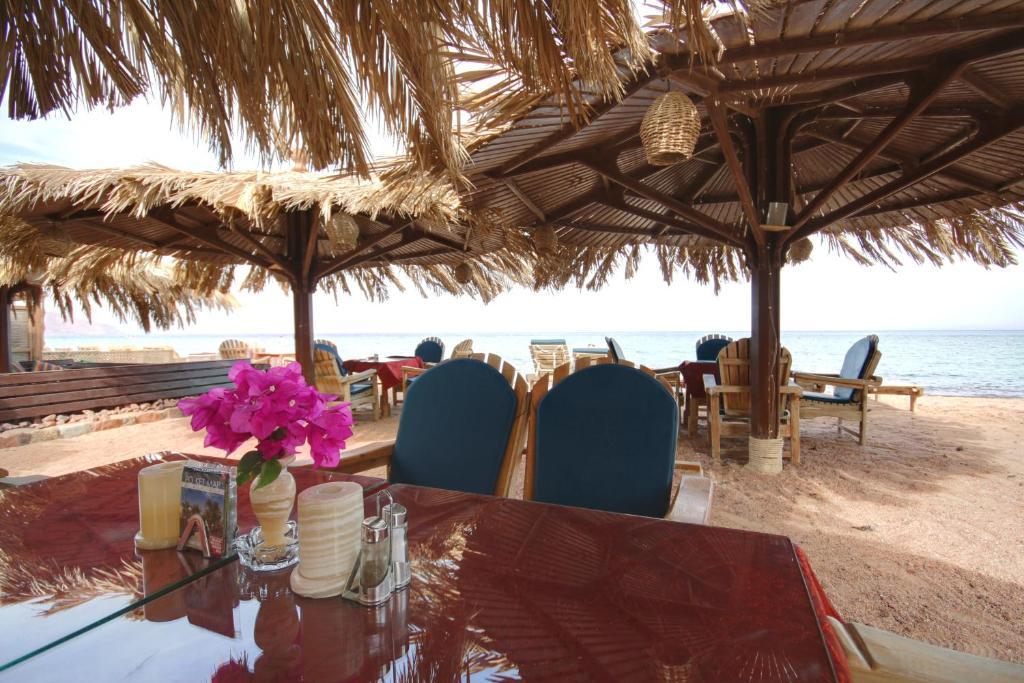 Hotel Dive Urge Dahab Exterior foto